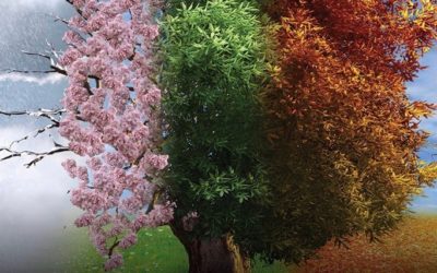 21. Όσο ζω μαθαίνω, Μέρος Β – Έχει ο καιρός γυρίσματα